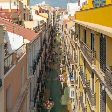 Setas Apartamento Alicante