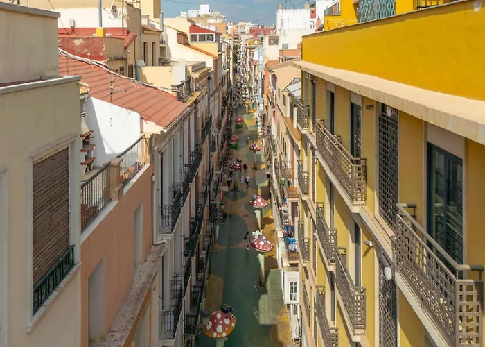 Setas Daire Alicante